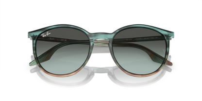 RAY-BAN RB2204 1394GK 54
