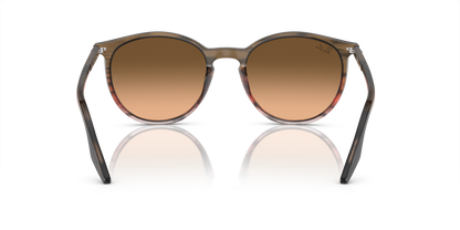 RAY-BAN RB2204 13953B 54