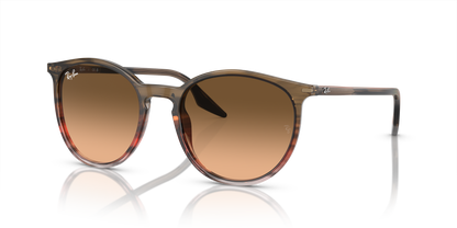 RAY-BAN RB2204 13953B 54