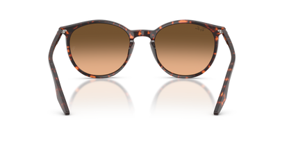 RAY-BAN RB2204 14293B 51