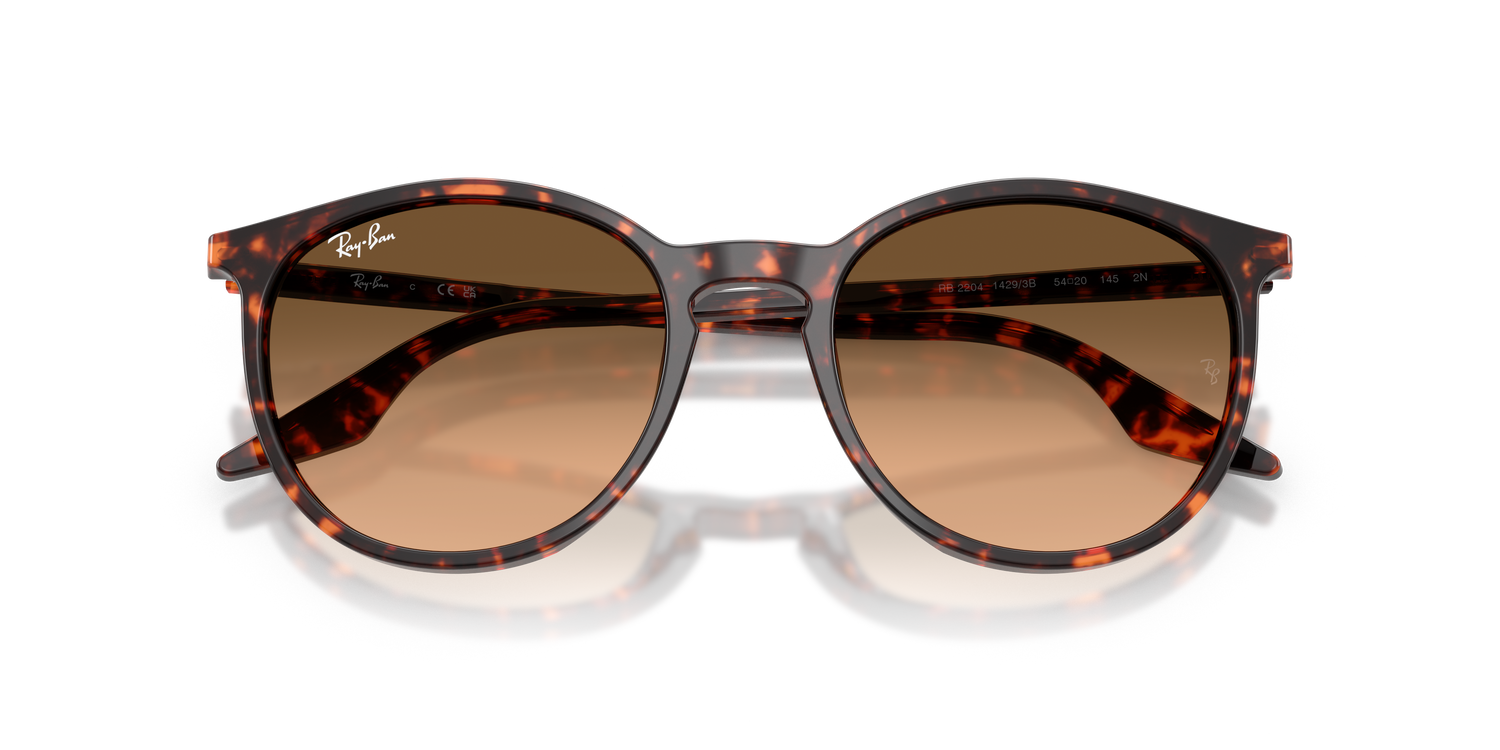 RAY-BAN RB2204 14293B 54