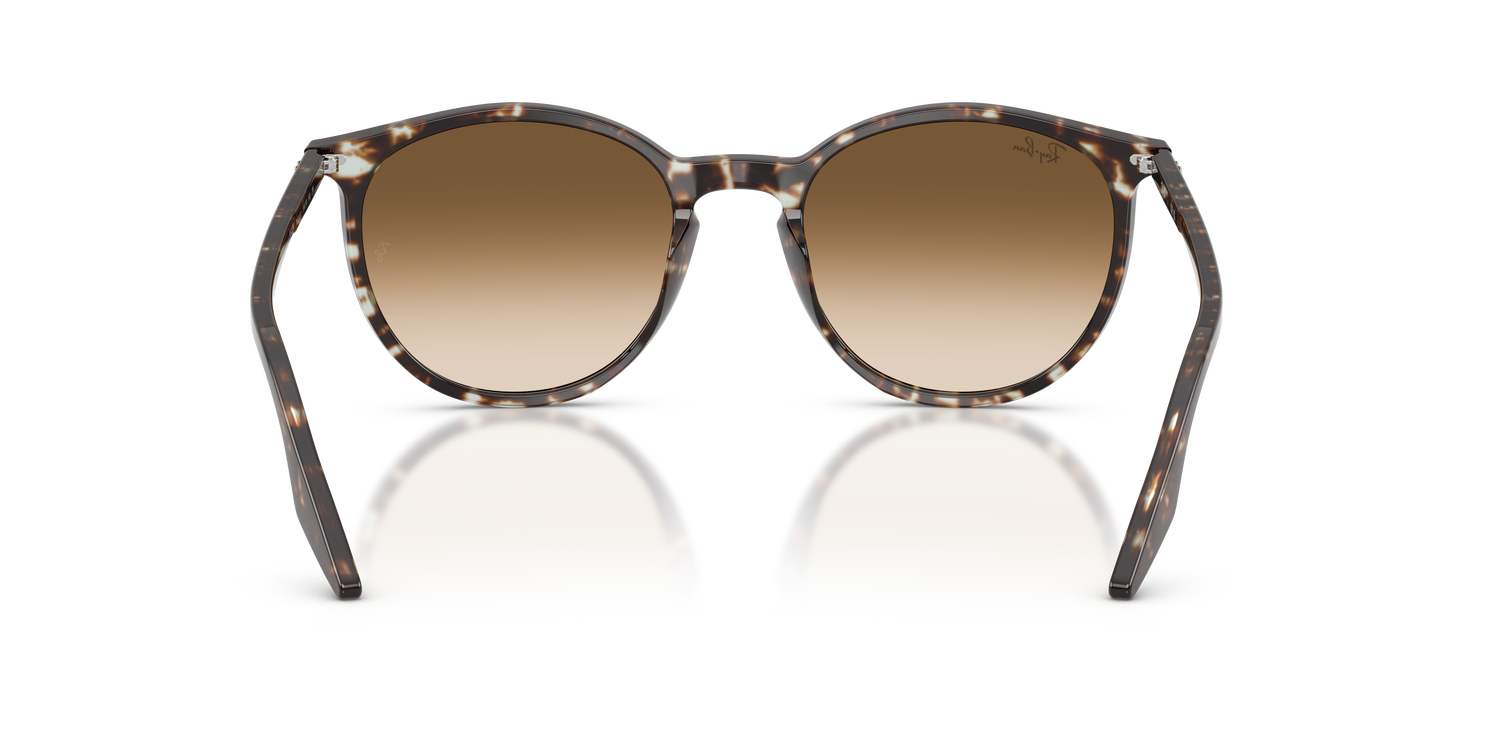 RAY-BAN RB2204 143151 51