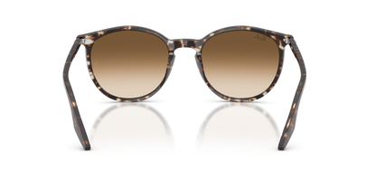 RAY-BAN RB2204 143151 54