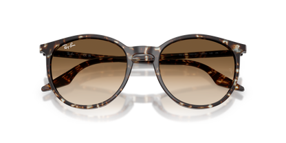 RAY-BAN RB2204 143151 54