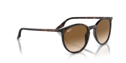 RAY-BAN RB2204 902/51 51
