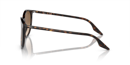 RAY-BAN RB2204 902/51 51