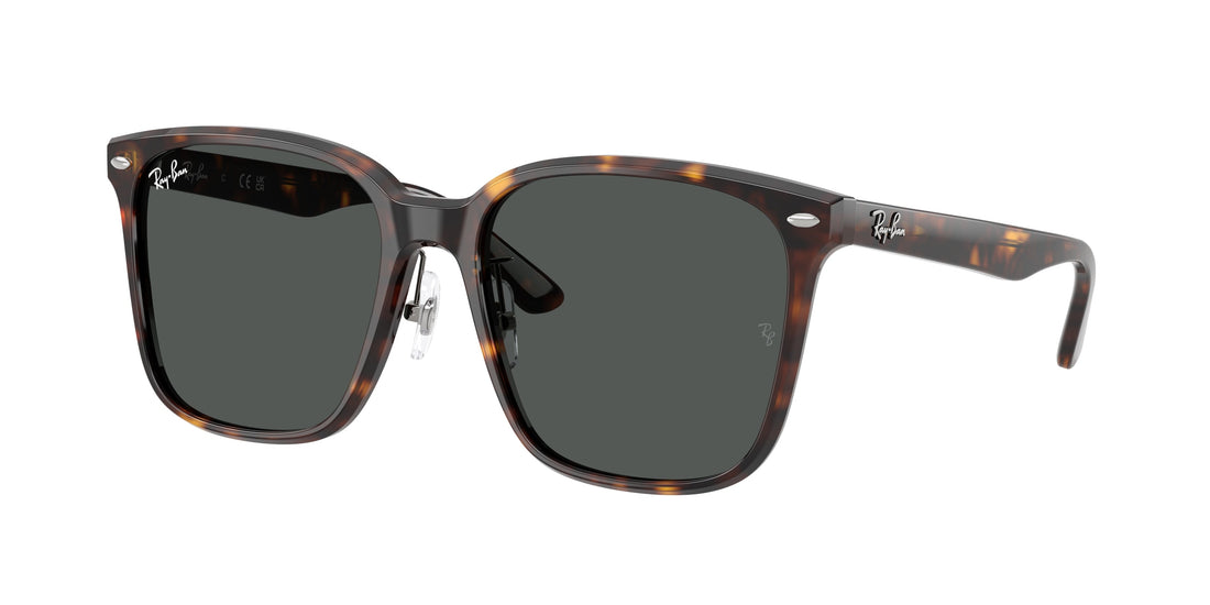 Translation missing: es.seo.product.type.gafas-de-sol ray-ban rb2206d 710/87 havana square unisex talla 57mm - Translation missing: es.seo.product.alt.imagen-principal