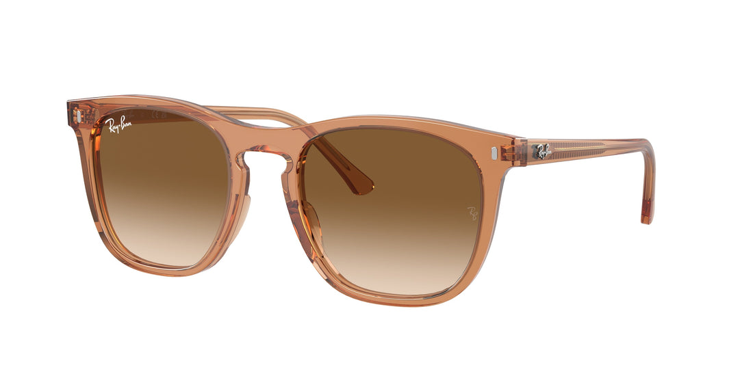 Translation missing: es.seo.product.type.gafas-de-sol ray-ban rb2210 676451 marron square unisex talla 53mm - Translation missing: es.seo.product.alt.imagen-principal