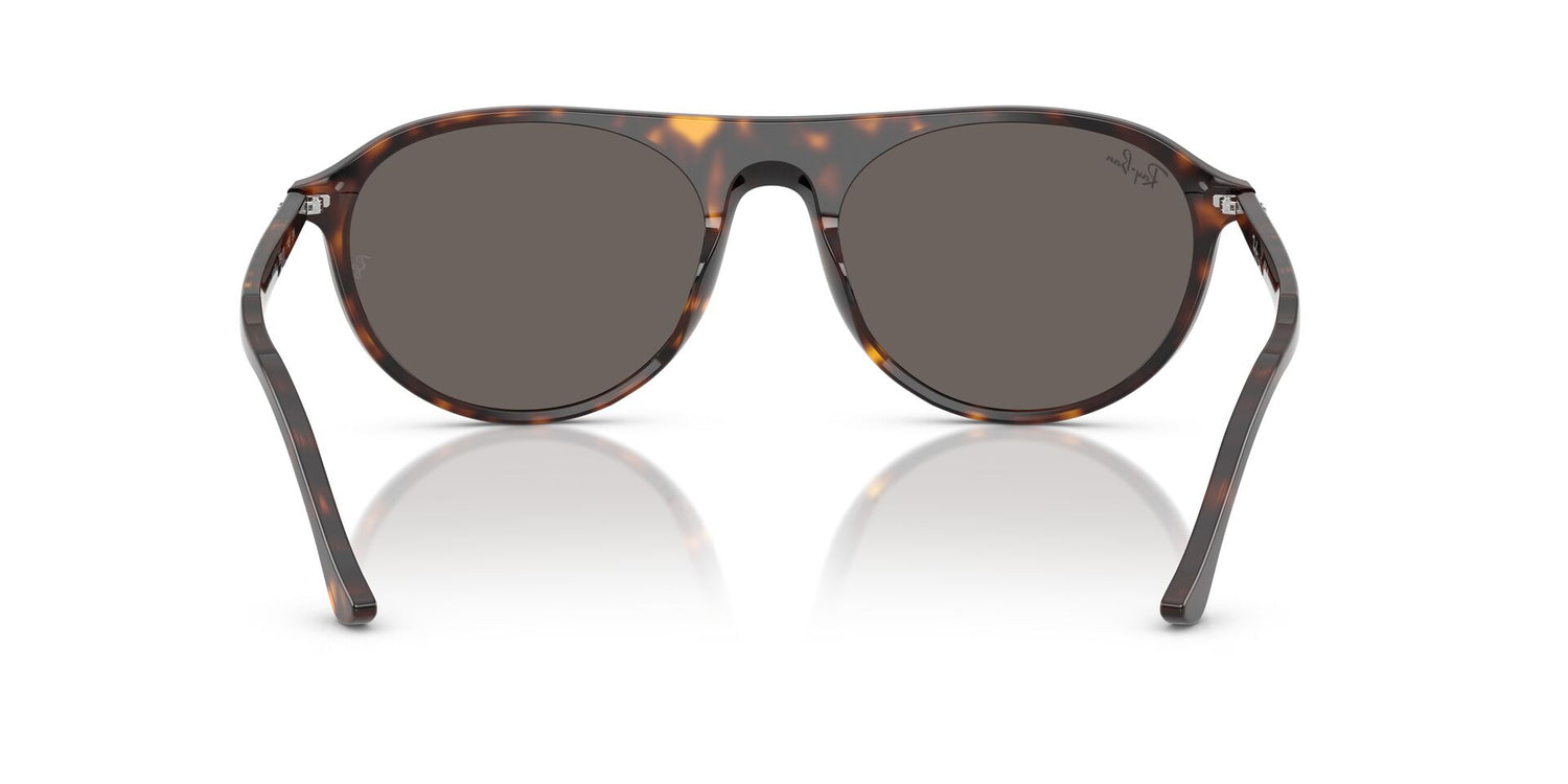 RAY-BAN RB2215 902/B1 56