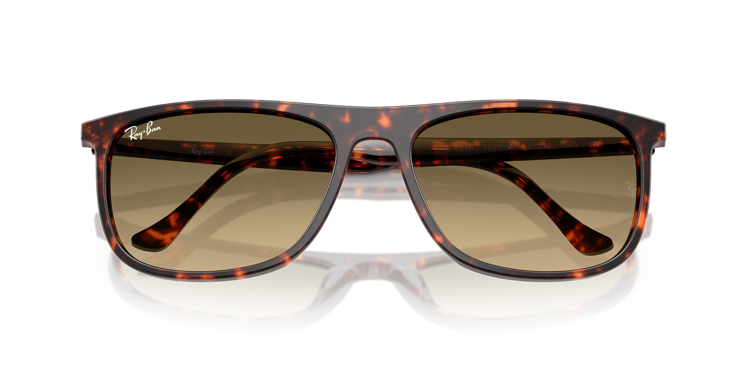 RAY-BAN RB2216 14290A 61