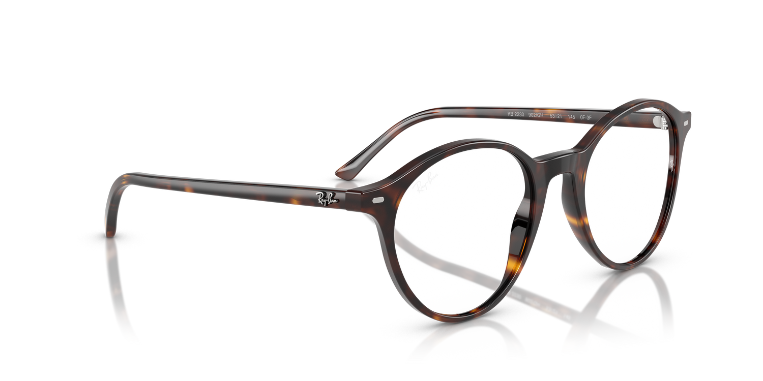 RAY-BAN RB2230 BERNARD 902/GH 53