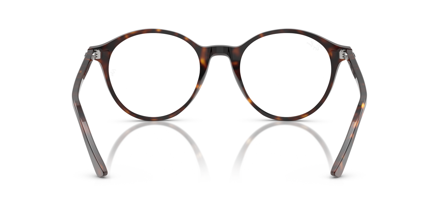RAY-BAN RB2230 BERNARD 902/GH 53