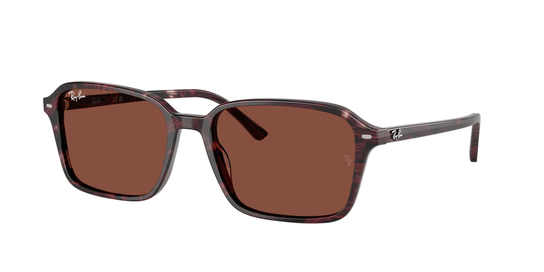 Translation missing: es.seo.product.type.gafas-de-sol ray-ban rb2231 raimond 1416c5 violeta square . talla 56mm - Translation missing: es.seo.product.alt.imagen-principal