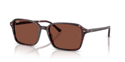 RAY-BAN RB2231 RAIMOND 1416C5 56