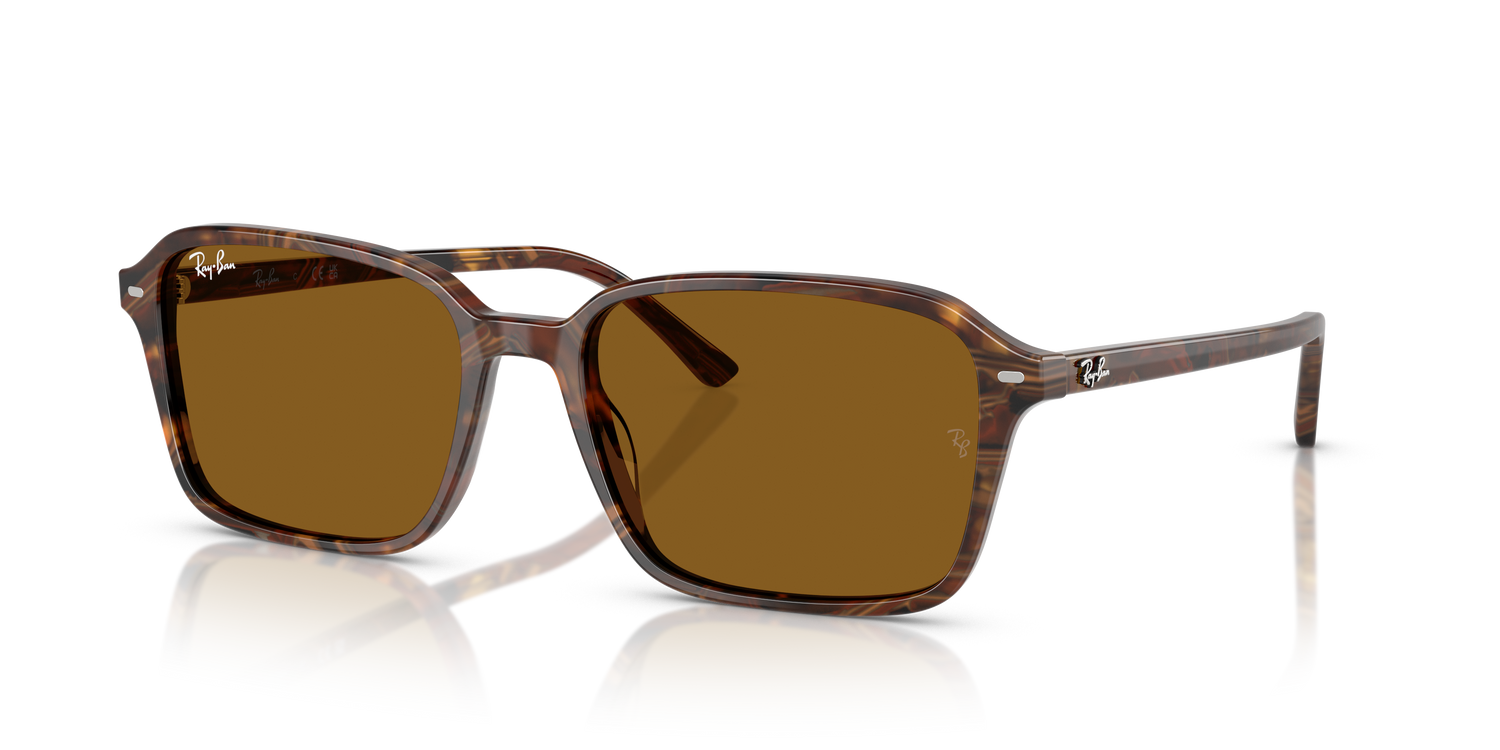 RAY-BAN RB2231 RAIMOND 141833 56