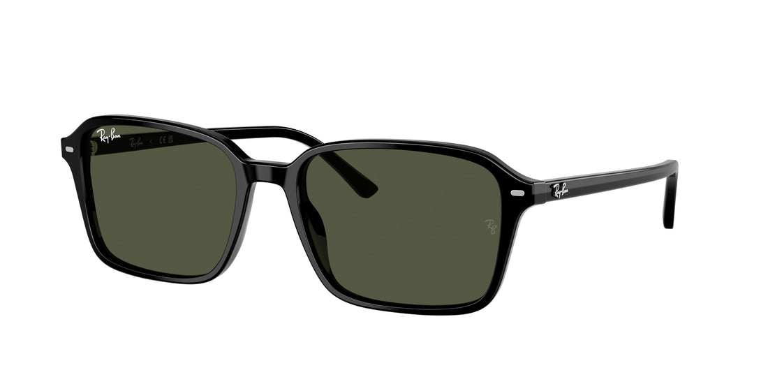 Translation missing: es.seo.product.type.gafas-de-sol ray-ban rb2231 raimond 901/31 negro square . talla 56mm - Translation missing: es.seo.product.alt.imagen-principal