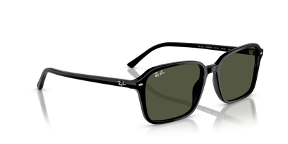 RAY-BAN RB2231 RAIMOND 901/31 56