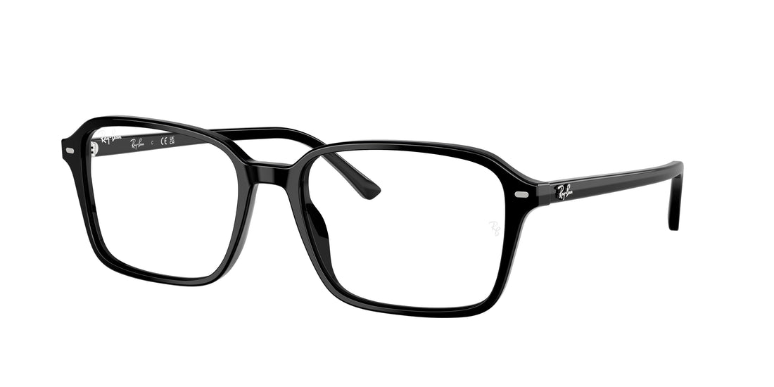 RAY-BAN RB2231 RAIMOND 901/GG 58
