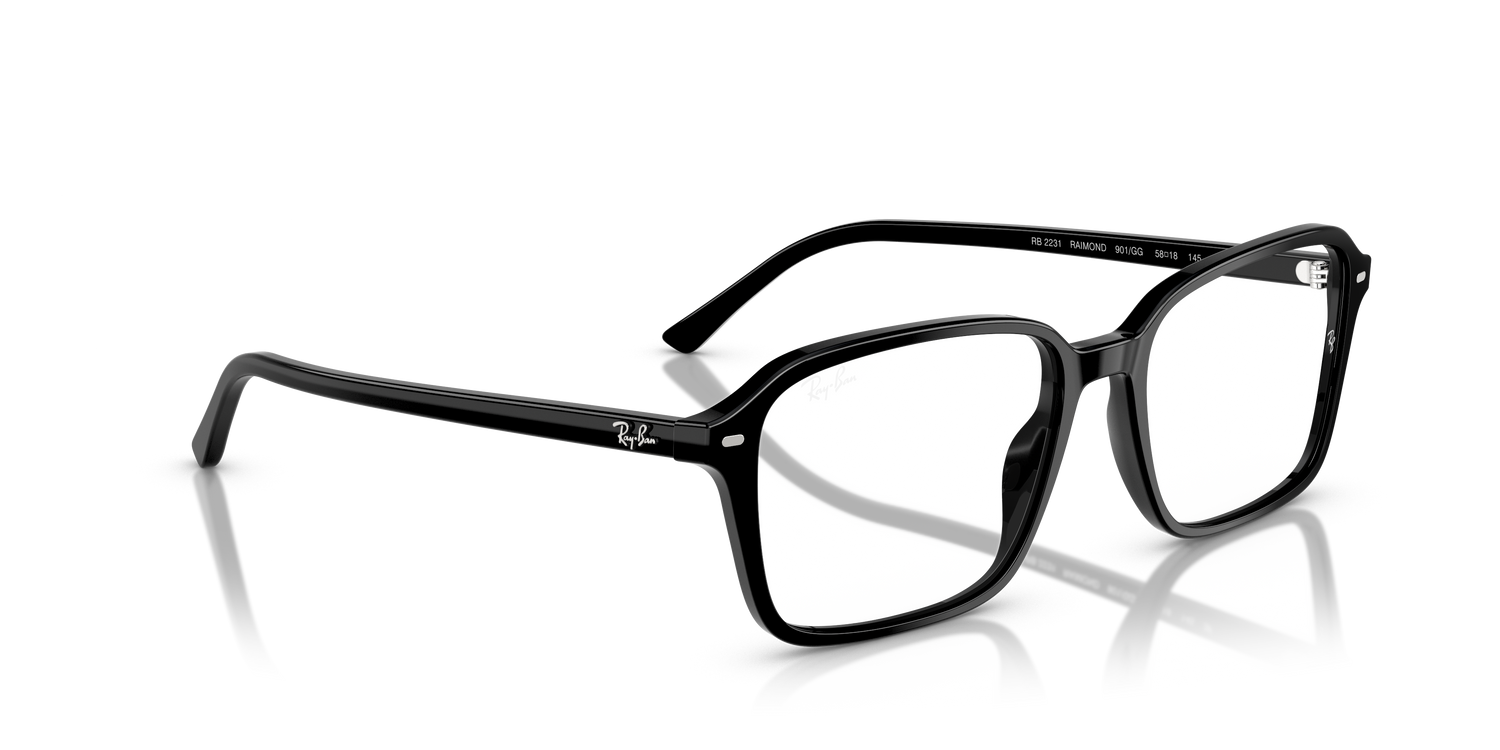 RAY-BAN RB2231 RAIMOND 901/GG 58