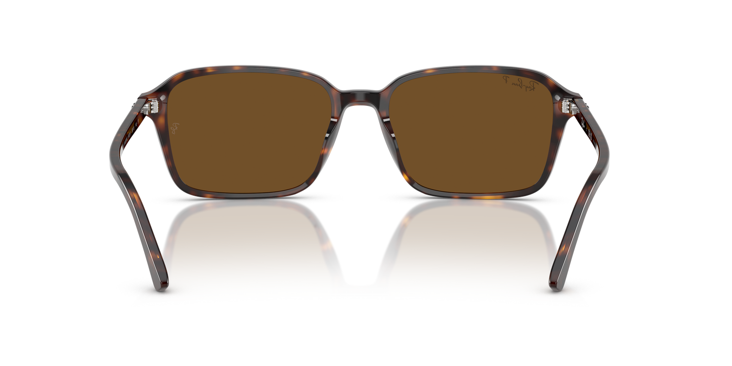RAY-BAN RB2231 RAIMOND 902/57 56