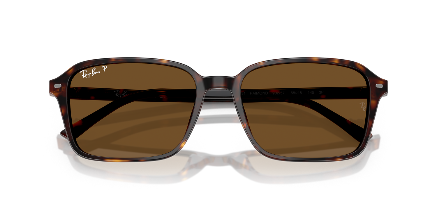RAY-BAN RB2231 RAIMOND 902/57 56