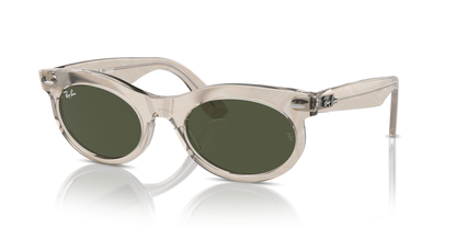 RAY-BAN RB2242 WAYFARER OVAL 138331 53
