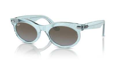 RAY-BAN RB2242 WAYFARER OVAL 138596 53