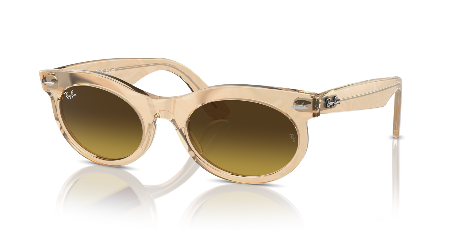 RAY-BAN RB2242 WAYFARER OVAL 138685 53