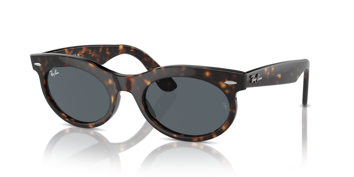 RAY-BAN RB2242 WAYFARER OVAL 902/R5 53