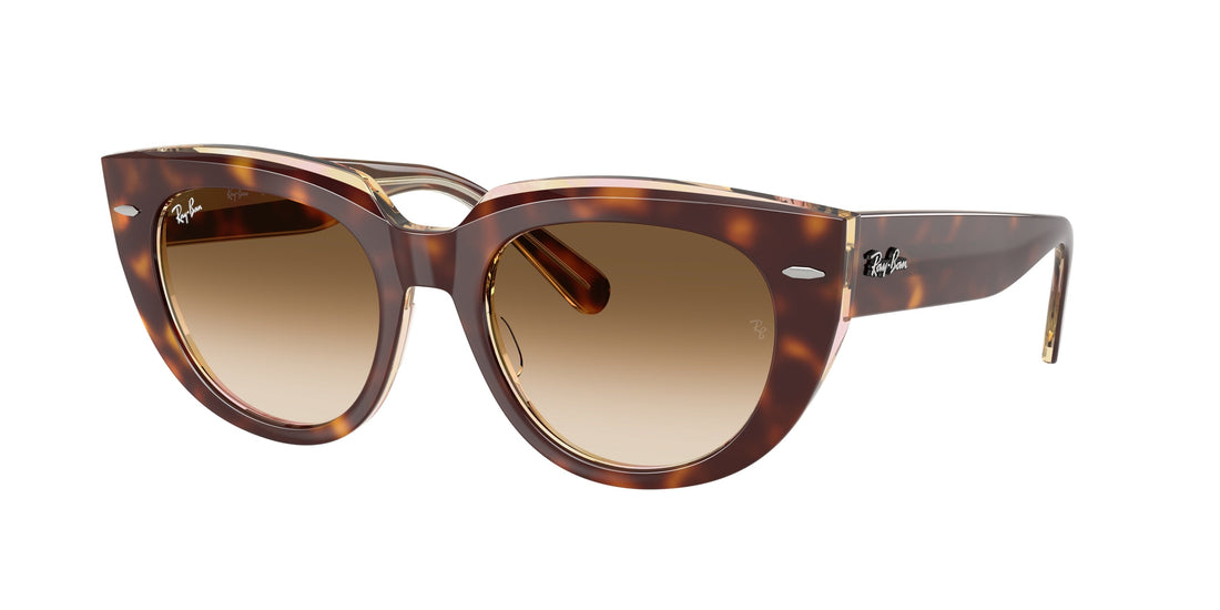 Translation missing: es.seo.product.type.gafas-de-sol ray-ban rb2286 doreen 141451 havana square femenina talla 49mm - Translation missing: es.seo.product.alt.imagen-principal