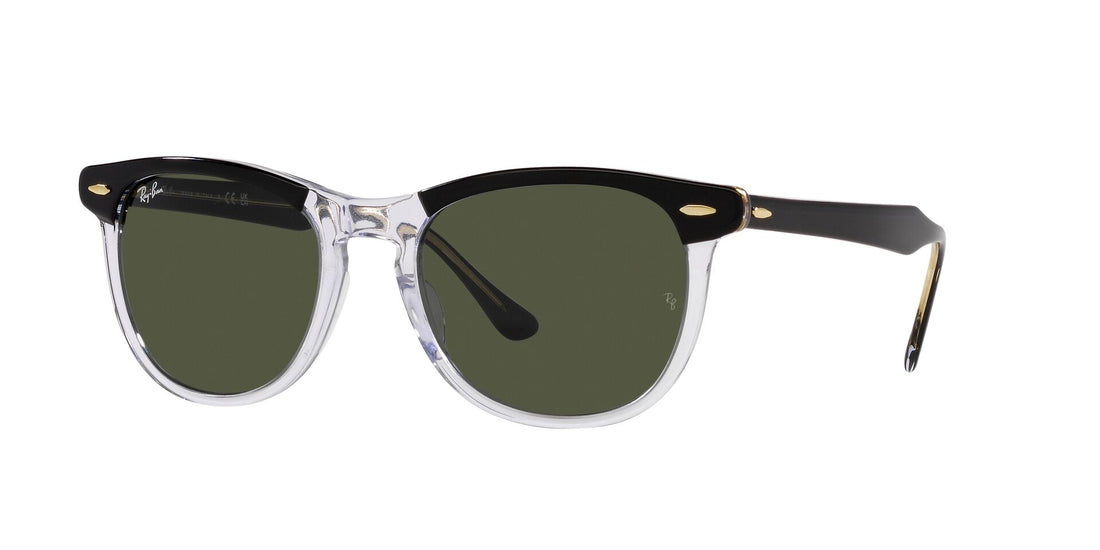RAY-BAN RB2398 EAGLEEYE 129431 53
