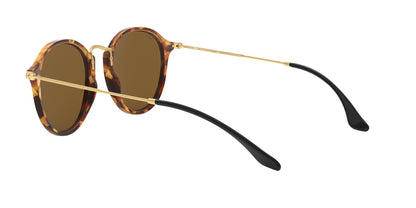RAY-BAN RB2447 ROUND 1160 49