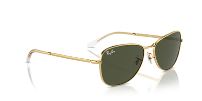 RAY-BAN RB3733 001/31 59