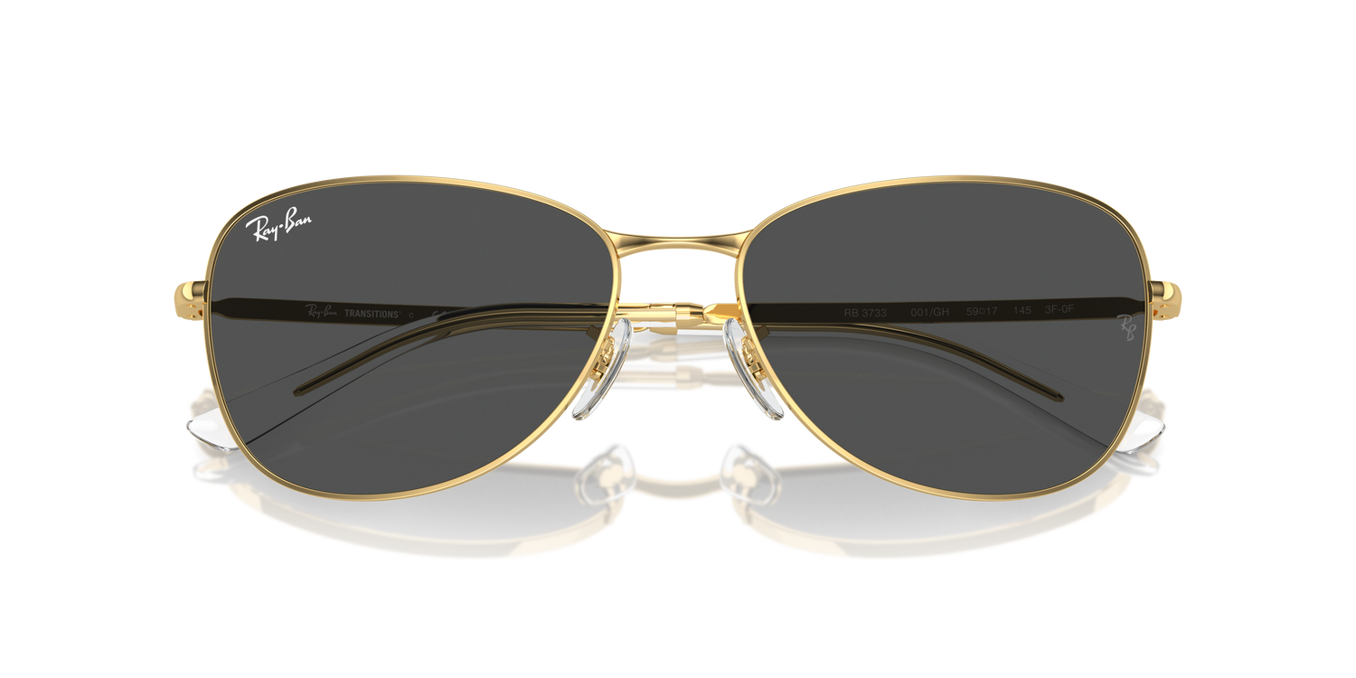 RAY-BAN RB3733 001/GH 59
