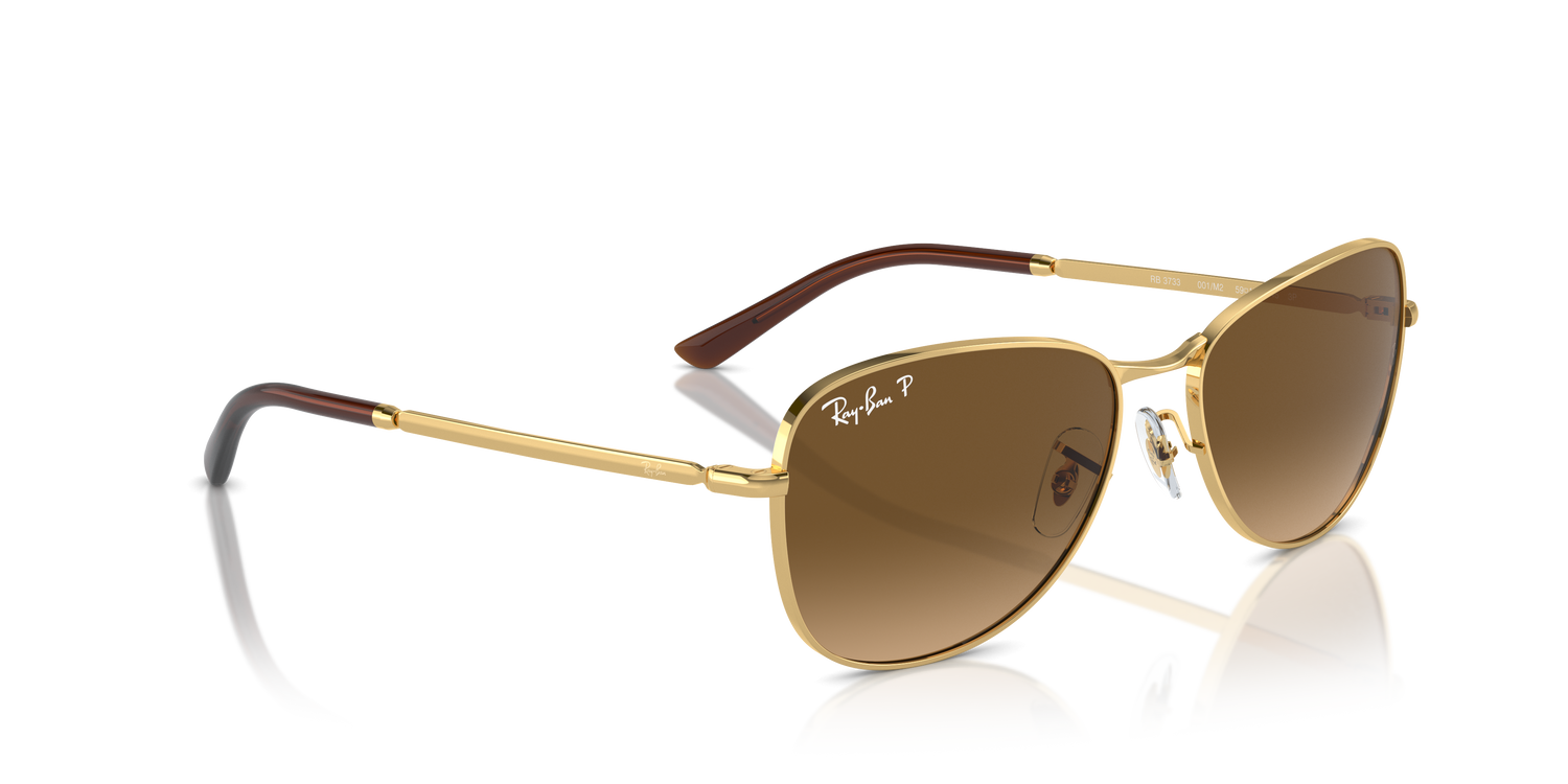 RAY-BAN RB3733 001/M2 59