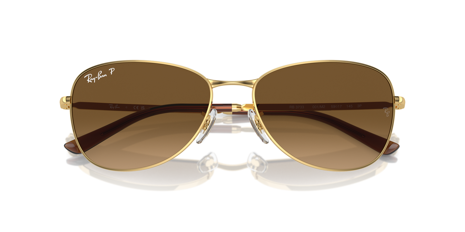 RAY-BAN RB3733 001/M2 59
