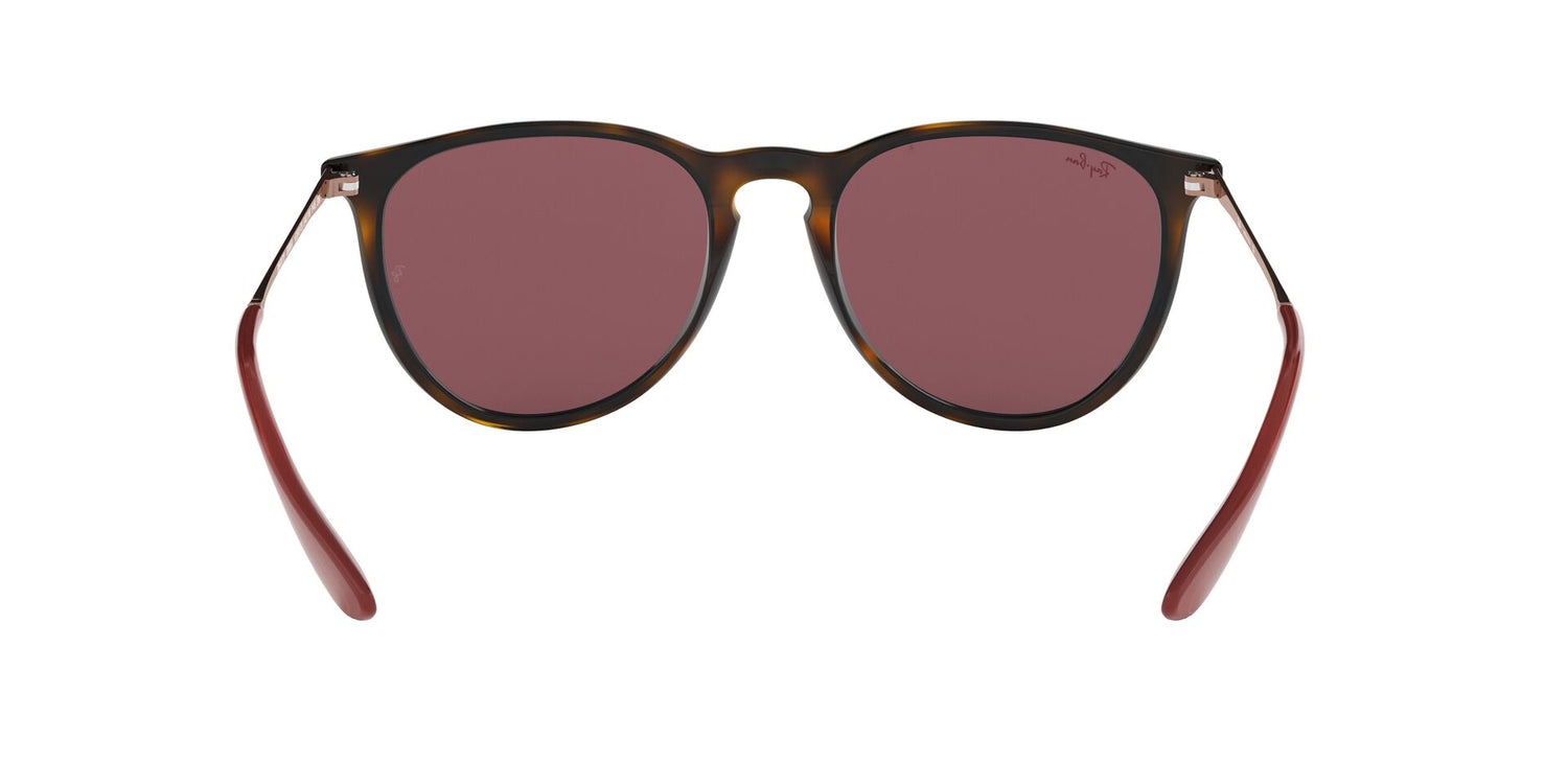 RAY-BAN RB4171 ERIKA 639175 54