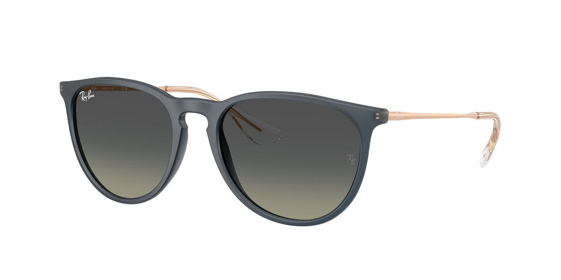 RAY-BAN RB4171 ERIKA 681311 54