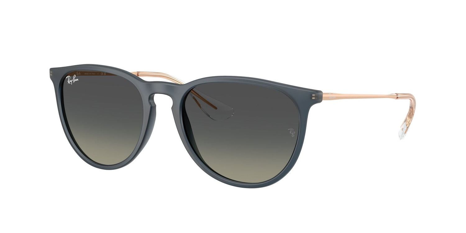 RAY-BAN RB4171 ERIKA 681311 54