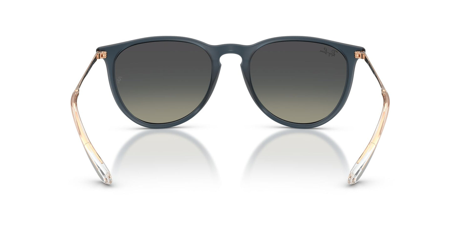 RAY-BAN RB4171 ERIKA 681311 54