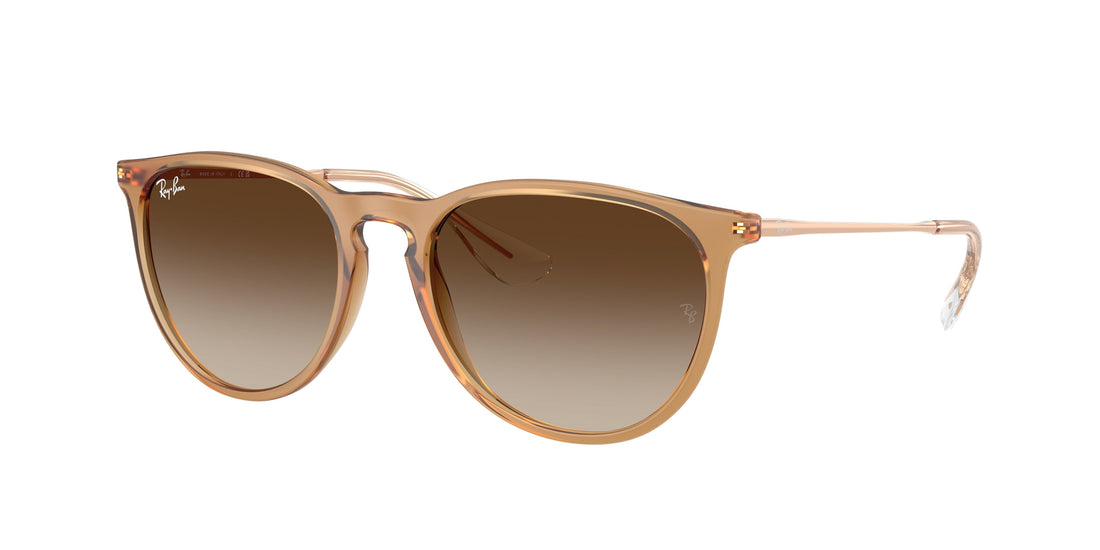 Translation missing: es.seo.product.type.gafas-de-sol ray-ban rb4171 erika 681413 marron pantos femenino talla 54mm - Translation missing: es.seo.product.alt.imagen-principal