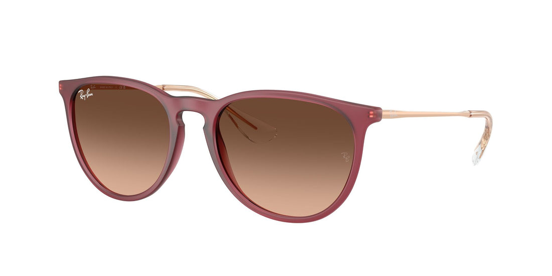 Translation missing: es.seo.product.type.gafas-de-sol ray-ban rb4171 erika 6815a5 violeta pantos femenino talla 54mm - Translation missing: es.seo.product.alt.imagen-principal