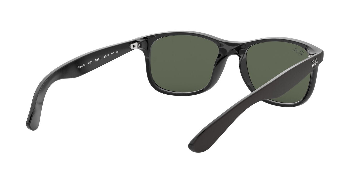 RAY-BAN RB4202 ANDY 606971 55