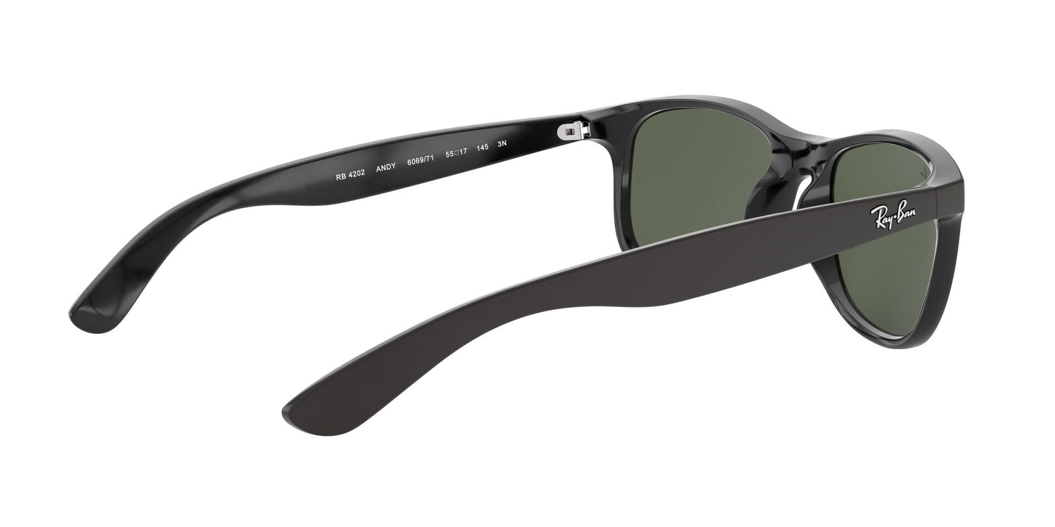 RAY-BAN RB4202 ANDY 606971 55