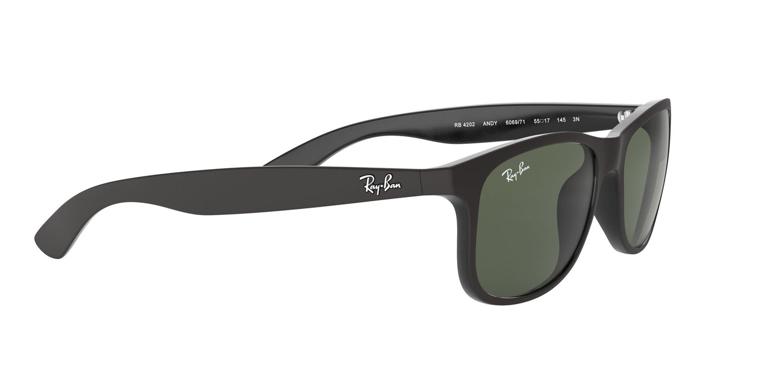 RAY-BAN RB4202 ANDY 606971 55