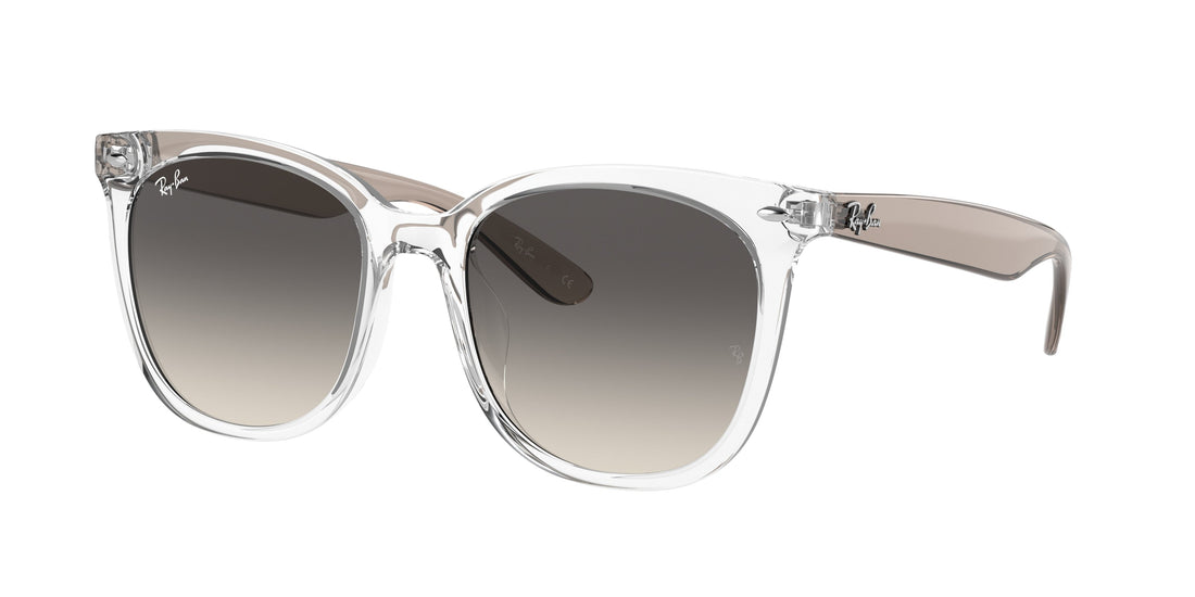 Translation missing: es.seo.product.type.gafas-de-sol ray-ban rb4379d 659811 transparente square unisex talla 55mm - Translation missing: es.seo.product.alt.imagen-principal