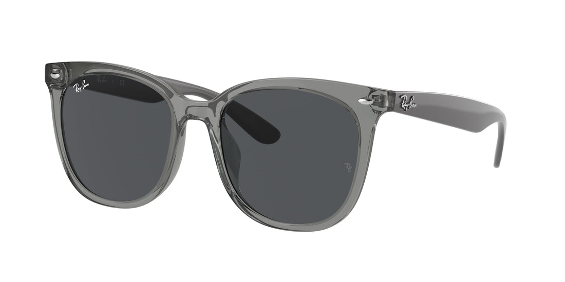 Translation missing: es.seo.product.type.gafas-de-sol ray-ban rb4379d 659987 gris square unisex talla 55mm - Translation missing: es.seo.product.alt.imagen-principal