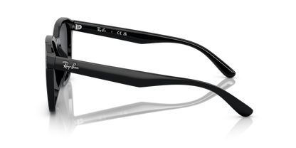 RAY-BAN RB4392D 601/87 66