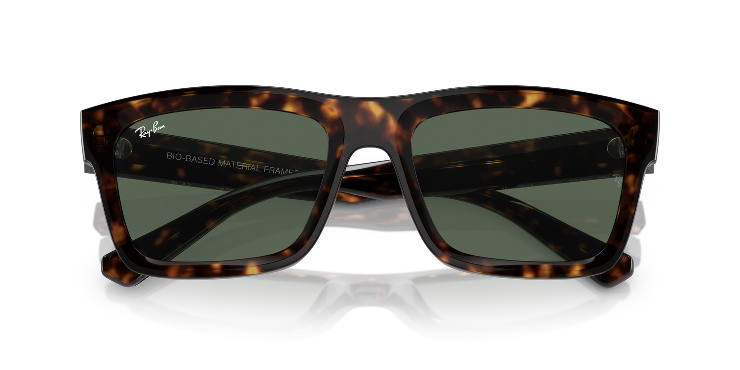 RAY-BAN RB4396 WARREN 135971 54