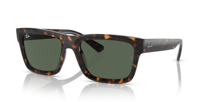 RAY-BAN RB4396 WARREN 135971 57